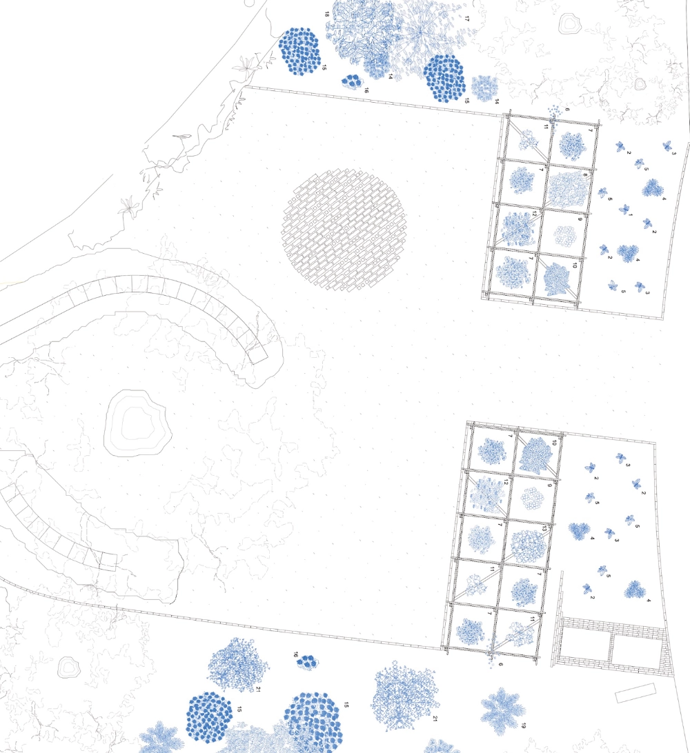 Site plan with vegetation