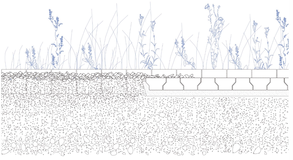 Section with vegetation